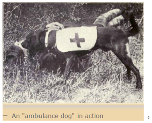RMR history ambulance dog in action